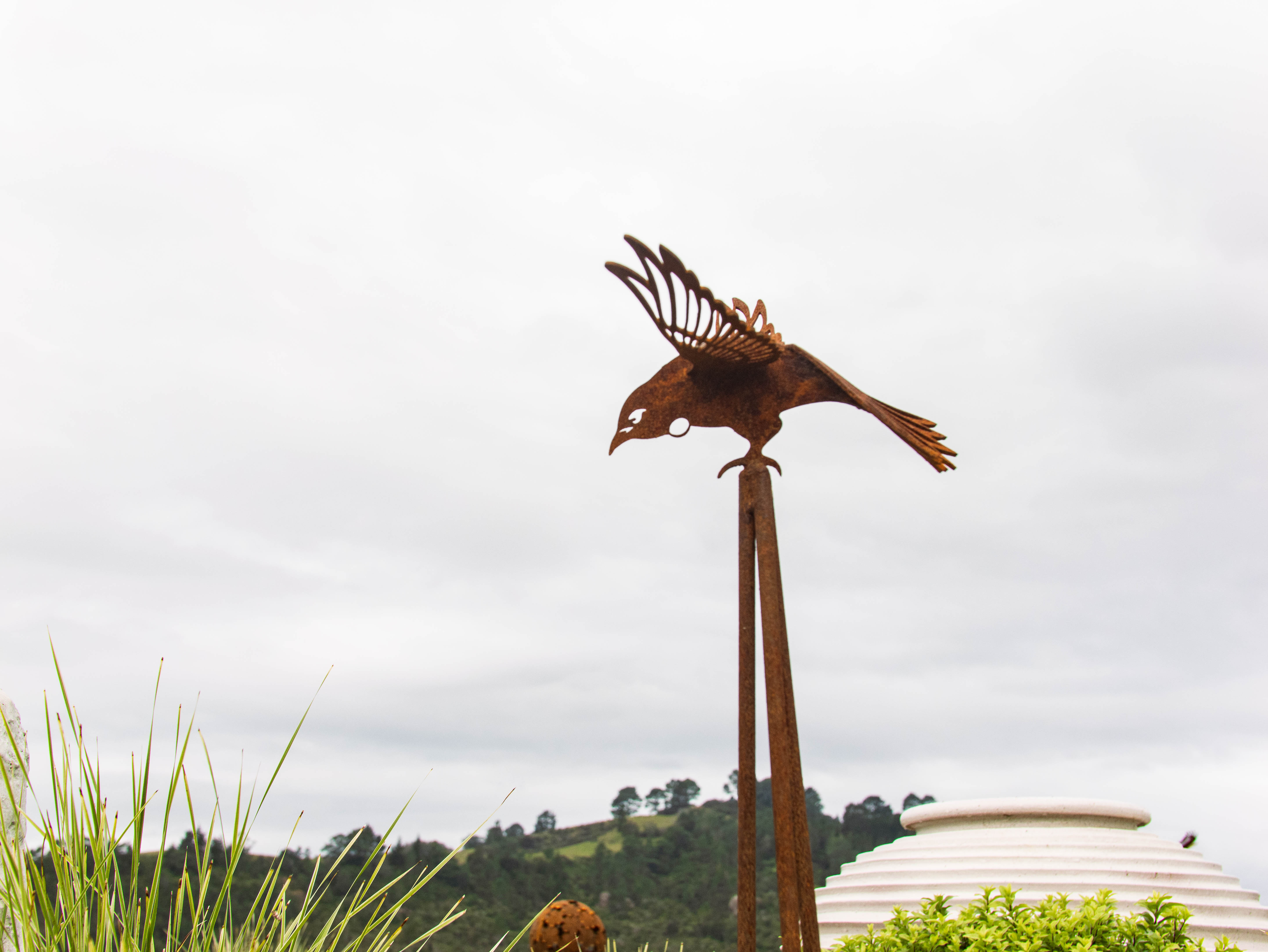 images/rs tui mini1.jpg